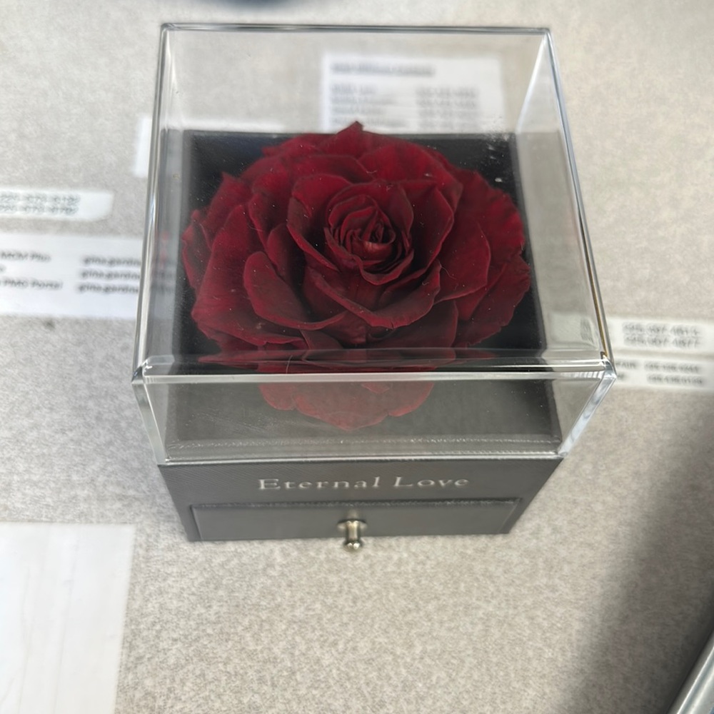 Eternal Love necklace